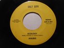 Super Rare Northern Soul Funk 45, Anubis, Ecology ORIGINAL Salt City SCR-A-001