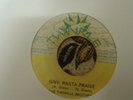 Twinkle Brothers , Give Rasta Praise  , 7