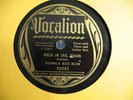 BUMBLE BEE SLIM BACK IN JAIL AGAIN GREAT 2 SIDED BLUES 78 ON VOCALION 03242