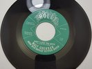 Holly #2513 Walt Cochran Don't lock the door/ I Already Know VG+