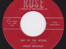 Rockabilly / Doo Wop 45 - WESLEY REYNOLDS - Trip To The Moon / Don't Say Goodbye