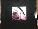 PEARL JAM 5x Vinyl LP 3x CD +Tape Deluxe Tenclub Fanclub Box Vs. Vitalogy Poster