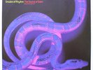 Shades Of Rhythm The Sound Of Eden (Every Time I See Her) Vinyl Single 12inch