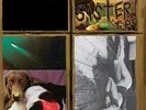 Sonic Youth - Sister Vinyl LP Goofin NEW