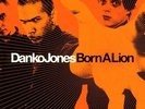 Danko Jones - Born A Lion (Vinyl) Vinyl LP Bad Taste NEW