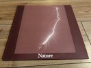 NATURE nature SWEDISH  PROG PSYCH hard rock GUMP november LP