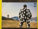 PINK FLOYD DELICATE SOUND OF THUNDER LP No2 1990 VG+/NM WHITE LABEL DMM REC