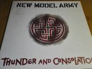 NEW MODEL ARMY Thunder and Consolation 12