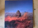 THE MACCABEES GIVEN TO THE WILD VINYL LP 