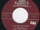 The Rain Drops 45 rpm  