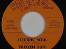 Psych Fuzz Funk 45 - Frozen Sun - Electric Soul - Capt. Zoomar - VG++ mp3 rare