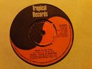 UK TROPICAL 055-ROOTS TRUNK AND BRANCHES-WANT TO BE FREE/FREEDOM ROCK -NR EX