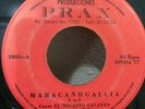 MAGGI y SU TRIBU: MARACANHGALLIA CALAVEN RARE SALSA AFRO FUNK BOSSA 7
