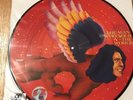 Rare David Bowie Man Who Sold The World RSD Exclusive Picture Disc LP 2016