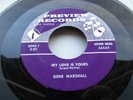 GENE MARSHALL - MY LOVE IS YOURS / SAY A PRAYER FOR VIETNAM 45 PREVIEW 2294