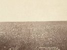 The Ash & Clay [VINYL - BRAND NEW] by The Milk Carton Kids
