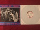 Youth Of Today - Break Down The Walls Vinyl LP/ First Pressing/ Wishingwell