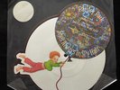 Prince & The Revolution Shaped Picture Disc Paisley Park with sticker