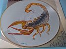 Scorpions - big city nights / pic.LP