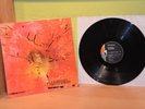 DOLDINGER´S MOTHERHOOD - SAME       LIBERTY - RECORDS     Prog Rock Kraut