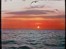 #Brother Ah and the Sounds of Awareness- Key to nowhere DIVINE RECORD og LISTEN#