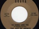 AGE OF BRONZE I'm Gonna Love You Guava 102 Northern Soul 45 Near Mint