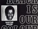 Wayne Wade ?– Black Is Our Colour