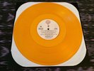 Prince Gold 12” Vinyl Promo The Gold Experience LP Non Album Tracks Artist 1995