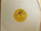 Dandy Warhols RIDE, WE LOVE YOU DICK Tim Kerr Single TEST PRESSING Near Mint