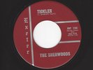 RARE SURF GUITAR INSTRUMENTAL ROCKER- SHERWOODS- 