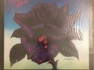 THIN LIZZY BLACK ROSE VINYL LP UK 1ST ISSUE VERTIGO SPACESHIP 1979 1Y/2y3