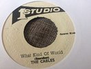 Cables What Kind Of World Coxsone Jamaican 7