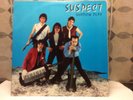 PRIVATE HARD ROCK AOR LP SUSPECT - Shadow Play.