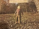 The Allman Brothers Band Brothers and Sisters 200GRAM MFSL Vinyl Lp Greg Allman