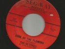 DOOWOP R&B bw/ JUMP- HI- TONES  - SURE AS THE FLOWERS -HEAR BOTH 1961 SEG-WAY