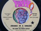 HEAR Giant Jellybean Copout 45 Awake IN A Dream/Look At The Girls EX psych pop