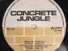 KING TUBBY - CONCRETE DUB - CONCRETE JUNGLE ( VERY RARE KILLER DUB LP )