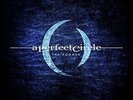 A Perfect Circle - The Doomed/disillusioned - Vinile
