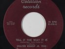 Soul Jazz 45 - Walter Bishop Jr. Trio - Tell It The Way It Is - Cotillion - mp3
