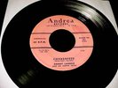 DANNY LAMEGO & JUMPIN' JACKS RARE 1956 ROCKER JIVER ROCKABILLY 45 OG Andrea HEAR