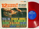 Rare Bluegrass LP- Tut Taylor & Folkswingers- 12 String Dobro - Red Vinyl- World