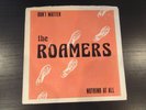 The Roamers - Don't Matter / Nothing At All 1980 USA POWER POP