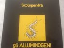 LP 12