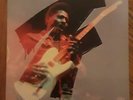 ALBERT COLLINS / FROZEN ALIVE    1981 Alligator Album    NEAR MINT