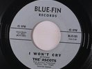 ASCOTS: The Wonder Of It All / I Won't Cry 45 (lightly scuffed disc plays well)
