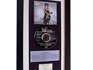 TINA TURNER Private Dancer CLASSIC Album GALLERY QUALITY FRAMED+FAST GLOBAL SHIP