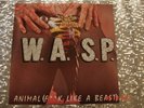 W.A.S.P.  