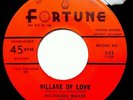 NATHANIEL MAYER Fabulous Twilights red label 45 I WANT WOMAN VILLAGE OF LOVE d36