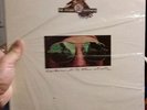 DOOBIE BROTHERS - Takin' it to the Streets MFSL ORIGINAL MASTER RECORDINGS