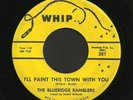 Texas Bluegrass 45   Blueridge Ramblers   Whip   Listen